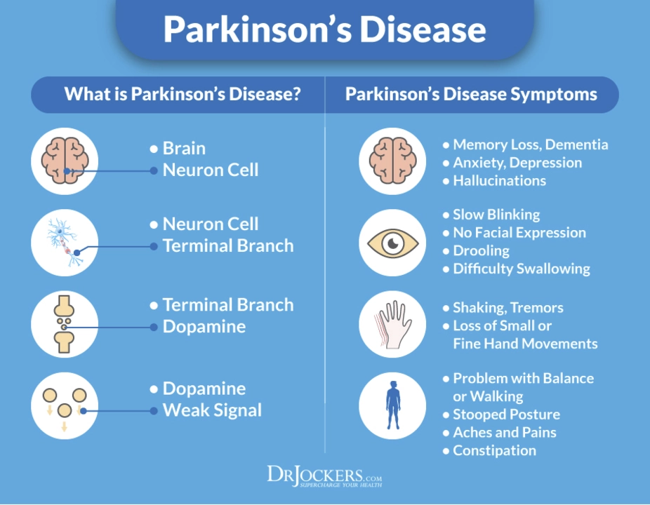 Loxapine and Psychosis in Parkinson's Disease: A Potential Treatment Option?